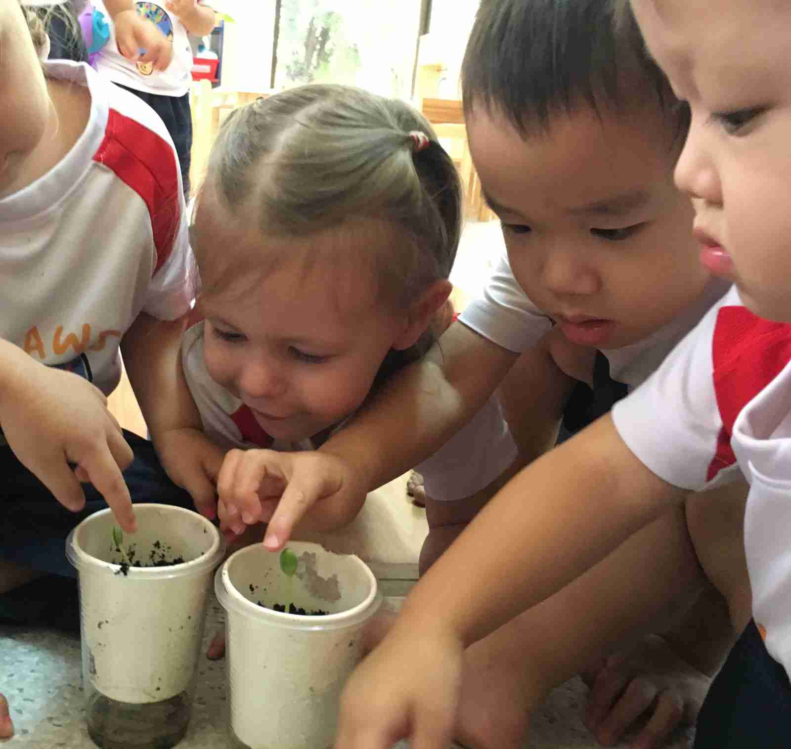shaws preschool learning play preschool