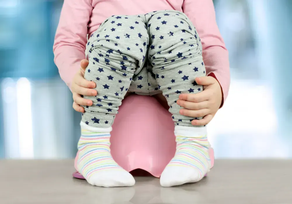 toddler toilet training